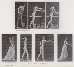 Mozgó emberalak: különféle dobások (f/w fotó) alkotó: Eadweard Muybridge