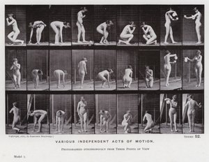 A mozgásban lévő emberi alak: Különféle független mozgások (f/w fotó) alkotó: Eadweard Muybridge