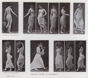Az emberi alak mozgásban: a mozgás különböző fázisai (f/w fotó) alkotó: Eadweard Muybridge
