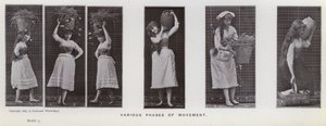 Mozgó emberalak: A mozgás különböző fázisai (f/w fotó) alkotó: Eadweard Muybridge