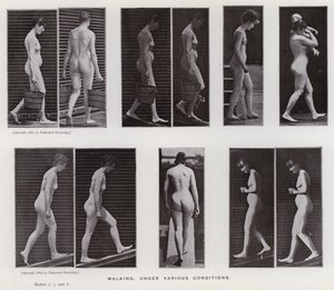 Mozgó emberalak: séta, különféle körülmények között (f/w fotó) alkotó: Eadweard Muybridge