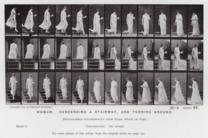 Mozgó emberalak: Nő, leereszkedik a lépcsőn, és megfordul (f/w fotó) alkotó: Eadweard Muybridge