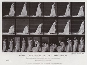 Mozgó emberalak: nő, lehajolva, hogy felvegye a zsebkendőjét (f/w fotó) alkotó: Eadweard Muybridge