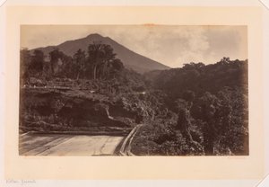 Vulkán Zunil, Guatemala alkotó: Eadweard Muybridge