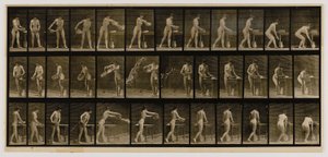 Nő, aki kiürít egy víztartályt, az Animal Locomotion című könyvből alkotó: Eadweard Muybridge
