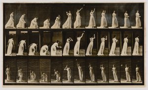 Woman Picking Up a Ball and Throwing It, az Animal Locomotion című könyvből alkotó: Eadweard Muybridge