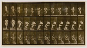 Ülő nő, keresztbe tett lábakkal, teáscsészéből iszik, az Animal Locomotion című könyvből. alkotó: Eadweard Muybridge