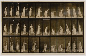 Woman Throwing Zsebkendőt dob a levegőbe, felveszi, az Animal Locomotion című könyvből alkotó: Eadweard Muybridge