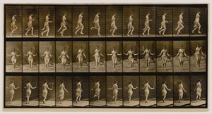 Woman Using Skipping Rope, az Animal Locomotion című könyvből alkotó: Eadweard Muybridge