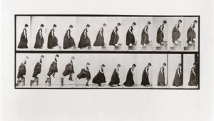 Lépcsőn mászó és leugró nő, 173-as tábla az Animal Locomotion-ból, 1887 alkotó: Eadweard Muybridge
