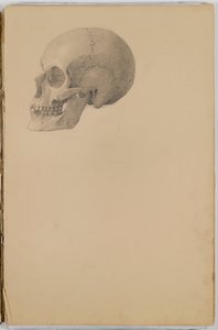 Anatómiai vázlatfüzet, 1849 (vázlatfüzet grafitból készült rajzokkal)
