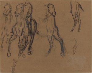Study of Horses, 1886 körül (szén és grafit barna papíron) alkotó: Edgar Degas