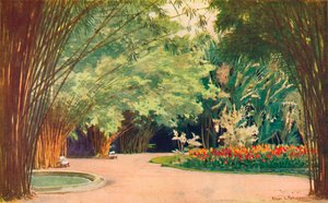 A Bamboo Grove – Botanikus Kert, 1914