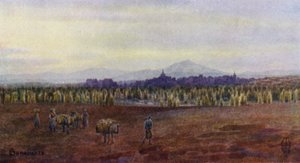 Észak-Spanyolország: Benavente, Castro Gonzalo hídja felülről (színes litho) alkotó: Edgar T. A. Wigram