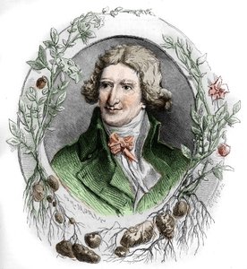 Antoine Augustin Parmentier (1737-1813) francia katonai gyógyszerész és agronómus portréja. Edmond Morin metszete
