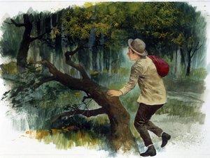 Gyermekirodalom: az Appenninektől az Andokig. Egy fiatal fiú egyedül az erdőben (rajz)