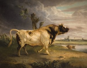 Egy nyereménybull