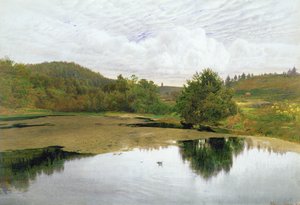The Pool, 1860 (wc, toll és tinta papíron)