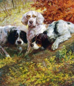 Setters alkotó: Edmund Henry Osthaus