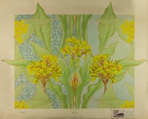 Indian Shot Lily, 1895 körül (guache papíron)