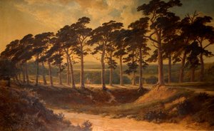 Harrow az elsőből, Hampstead Heath, 1875