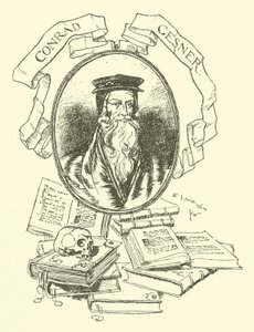 Conrad Gesner alkotó: Edmund Joseph after Sullivan