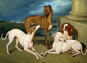 Whippetek és egy királyspániel, 1837 alkotó: Edmund Jr Havell