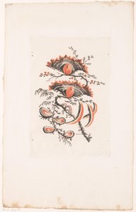 Legyező alakú virágok Fleurs Idealle (sorozat címe) alkotó: Edouard Gautier Dagoty
