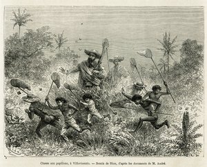Pillangókra vadászott gyerekbanda, a szerző kíséretében, egy Villavicensio (Kolumbia), Riou rajza az Equinoxiale America (Kolumbia, Ecuador, Peru) 1875-1876-os történetének illusztrálására, Ed. andre, az F. küldetéséért felelős utazó alkotó: Edouard Riou