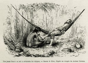 Egy fiatal Roucouyan nő kivonja a sárokat, amelyek az éjszaka folyamán a felfedező lábát sugározták. Riou metszete Cayenne aux Andes történetének illusztrálására Jules Crevaux, a francia haditengerészet orvosa 1878-1879-ben, megjelent a Tour du monde, un. alkotó: Edouard Riou