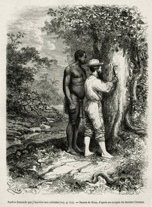 Apatou, az idegenvezető és útitárs megkéri a felfedező szerzőt, hogy gravírozza monogramját egy fa kérgébe. Riou metszete Cayenne aux Andes történetének illusztrálására Jules Crevaux, a francia haditengerészet orvosa 1878-1879-ben, a Tour du-ban megjelent. alkotó: Edouard Riou
