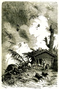 Lavina az Alpokban alkotó: Edouard Riou