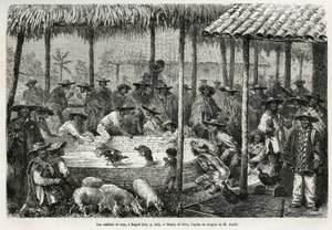 Kakasviadal és utcai animáció Ibague-ban (Kolumbia), Riou rajza az Equinoxiale America (Kolumbia, Ecuador, Peru) 1875-1876-os történetének illusztrálására, Ed. andre, a francia kormány utazói missziós megbízatása. Gravírozás a Le tour du monde-ban alkotó: Edouard Riou