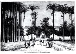 Place des Palmistes, Cayenne, Guyana alkotó: Edouard Riou