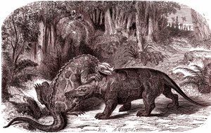 Az Iguanodon és a Megalosaurus (metszet) alkotó: Edouard Riou