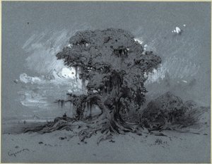 Öreg fa alkotó: Eduard Hildebrandt