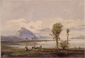 Kilátás a Rodrigo de Freitas-tóra Rio de Janeiro közelében