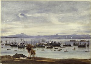 Rio de Janeiro panorámaképe