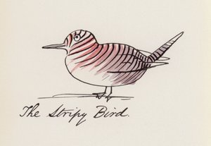 Edward Lear, A madárkönyv: A csíkos madár (színes litho)