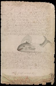 Tábla Edward Barlow naplójából, amely 1659 és 1703 között a király hajóin, a kelet- és nyugat-indiai hajókon és más kereskedelmi hajókon tengeren töltött életéről szól. alkotó: Edward Barlow