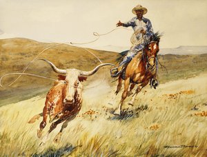 Roping A Steer