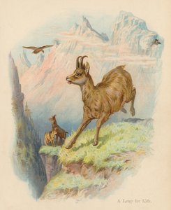 Ugrás az életért (színes litográfia)