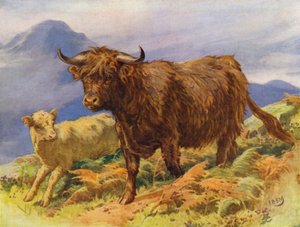 Felvidéki tehén és borjú (színes litho)