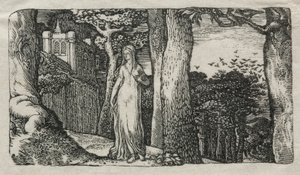 The Lady and the Rooks, 1829.