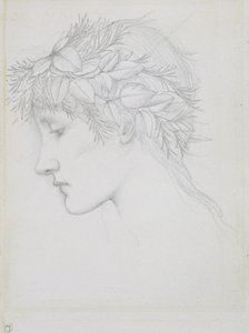 Levéllel koronázott fej, 1897 körül (ceruza, papír) alkotó: Edward Coley Burne Jones