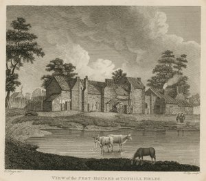 Kilátás a kártevő házakra a Tothill Fields-ben, Londonban alkotó: Edward Dayes