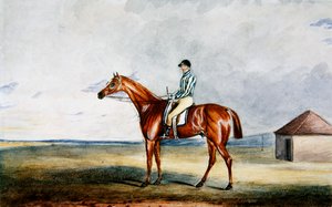 Lord Jersey „Riddlesworth” című műve, H. Edwards Up, 1931 körül (akvarell papíron) alkotó: Edward Duncan