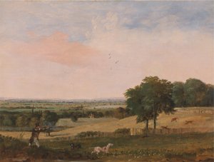 Vadászpárduc lövészet alkotó: Edward Duncan