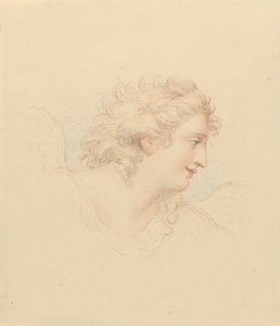 A női fej profilvizsgálata alkotó: Edward Francis Burney