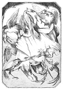 A szamárkáposzta, 1901